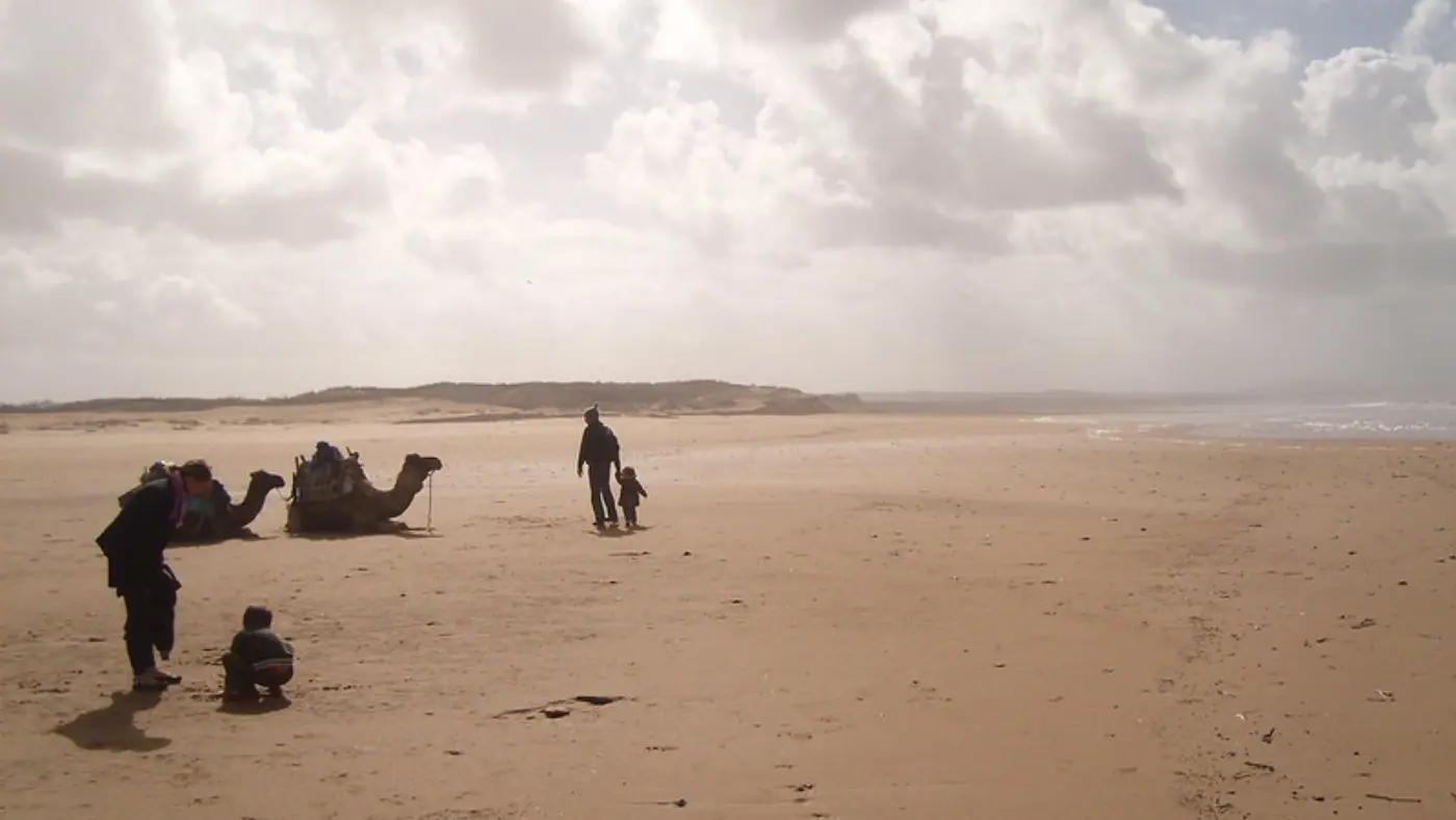 10-Daagse Agadir naar Sahara Woestijn & Hoge Atlas — Coastal Beach Camels